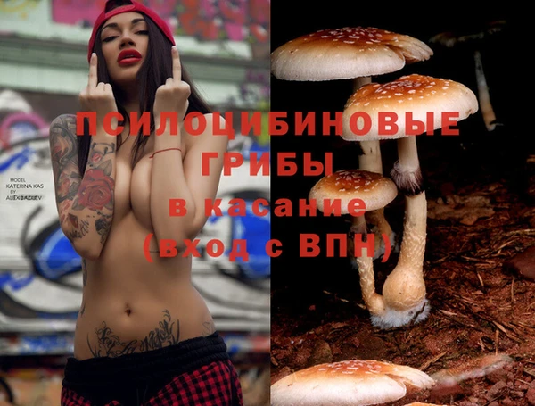 а пвп мука Вязьма