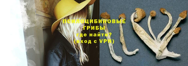 прущие грибы Вязники