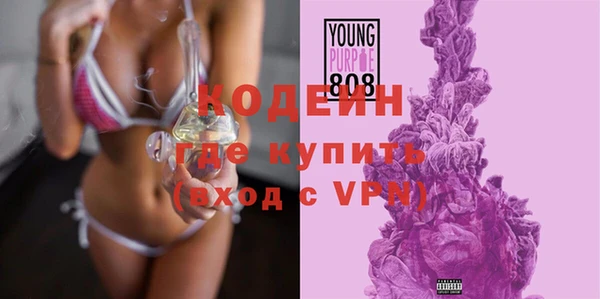 прущие грибы Вязники
