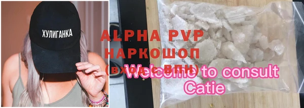 прущие грибы Вязники