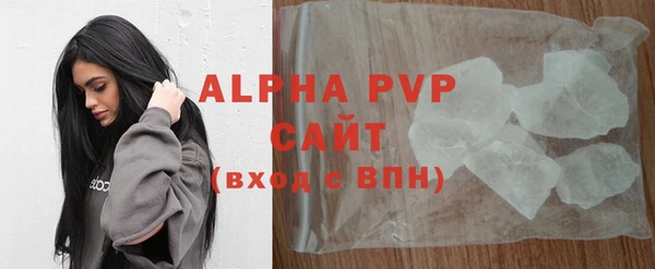 прущие грибы Вязники