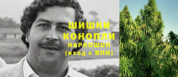 прущие грибы Вязники