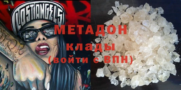 прущие грибы Вязники