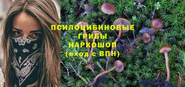 МДМА Вяземский