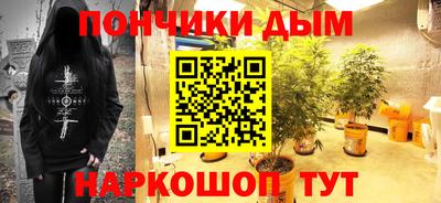 прущие грибы Мариинск