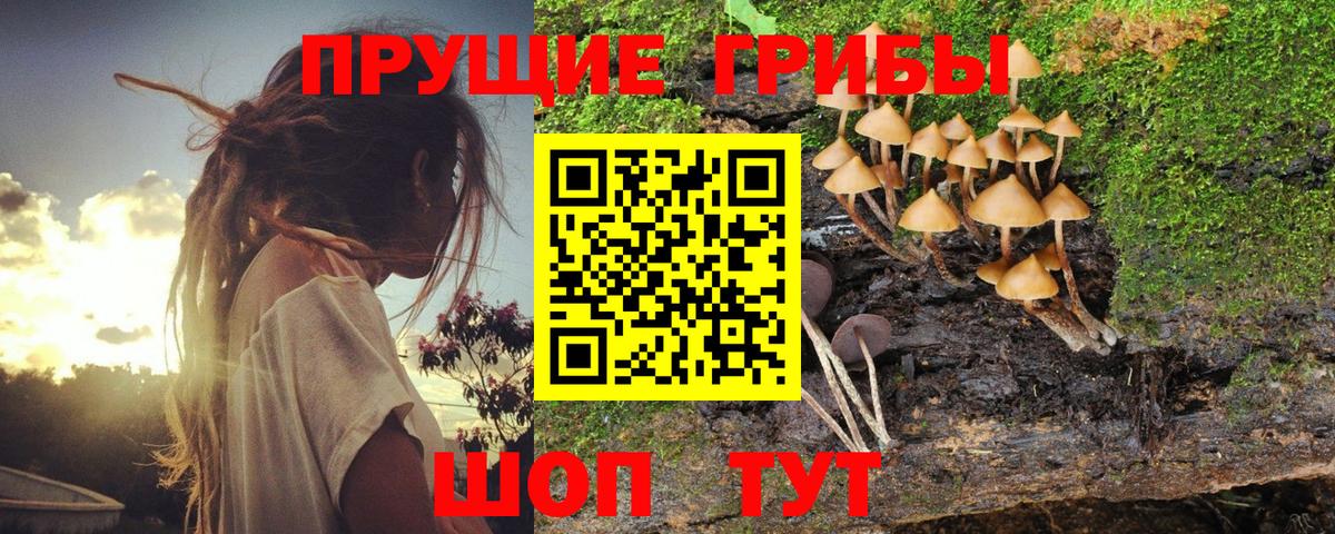 Псилоцибиновые грибы MAGIC MUSHROOMS Мончегорск