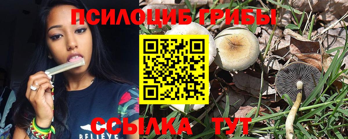 Галлюциногенные грибы Psilocybine cubensis  Вход с VPN  Мончегорск  Галлюциногенные грибы мухоморы 