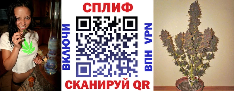Канабис конопля  гидра маркетплейс  Мончегорск 